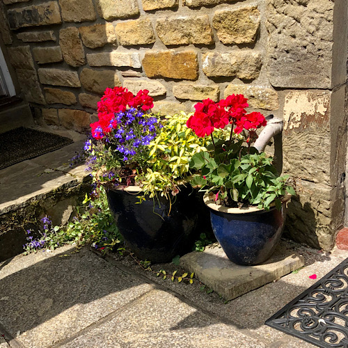 Garden pots with colour